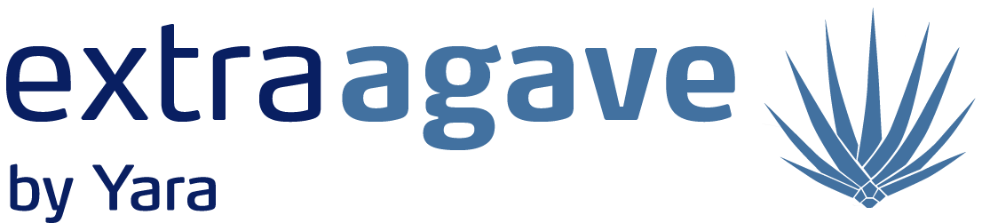 Logo Agave