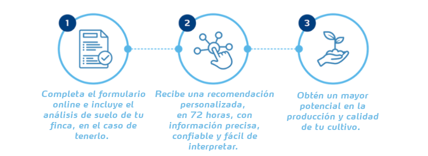 &iacute;conos