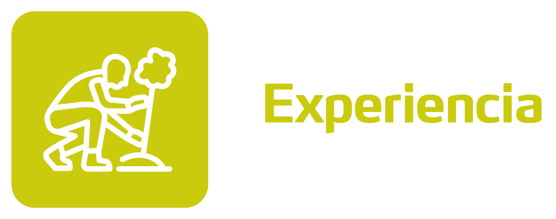 Experiencia