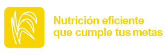 Nurición eficiente que cumple tus metas