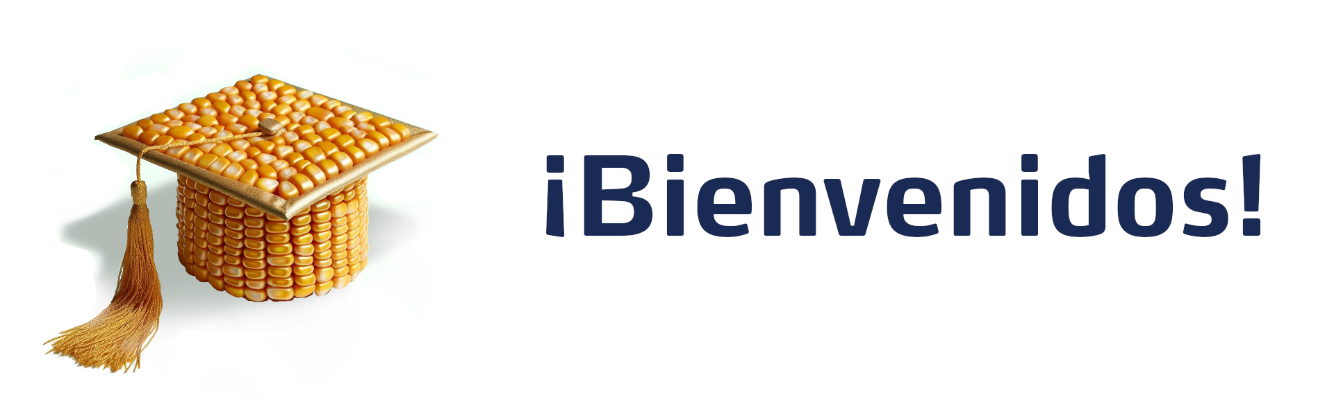 banner ma&iacute;z