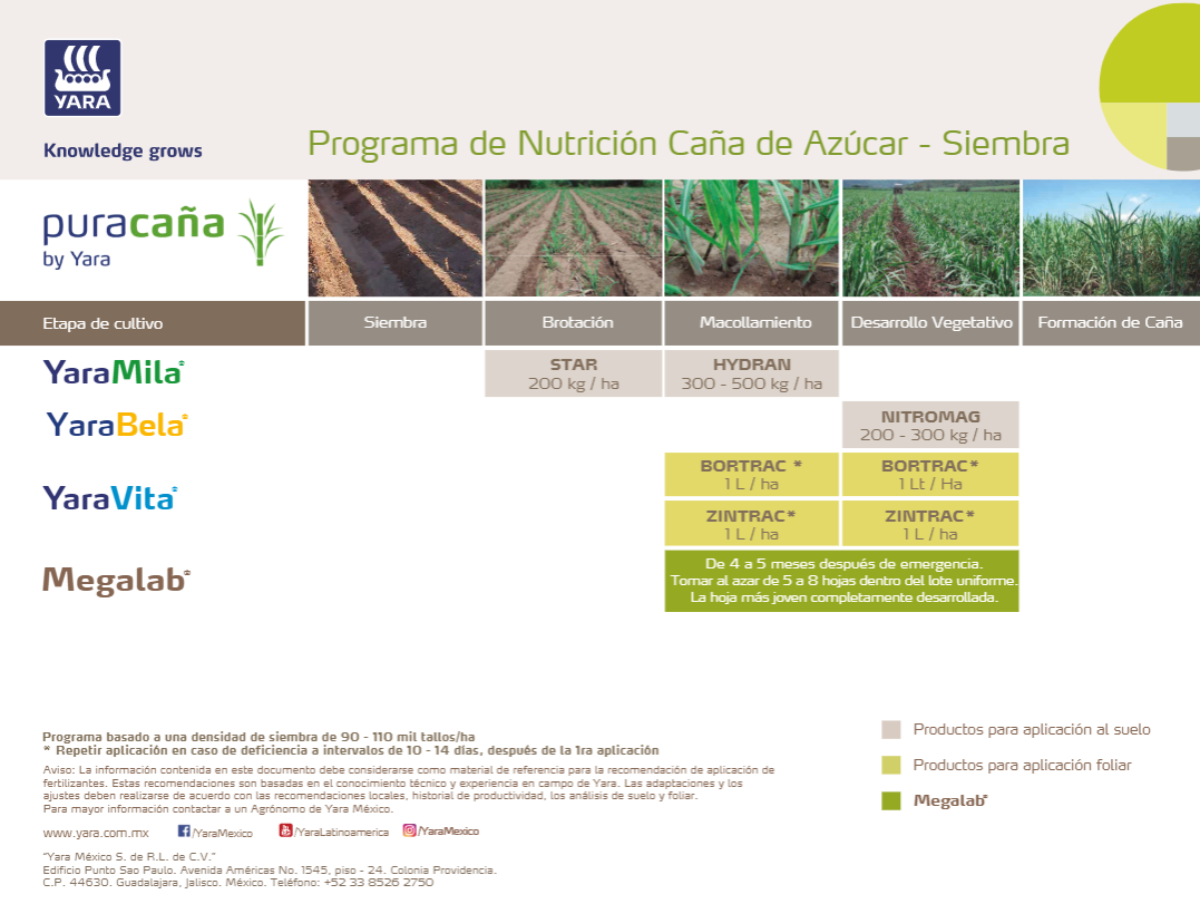 Programa de Nutrición Caña