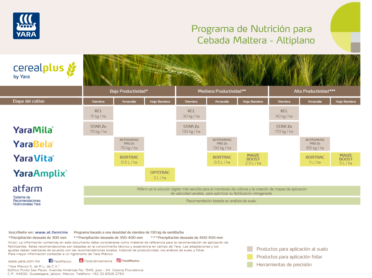 Programa cebada