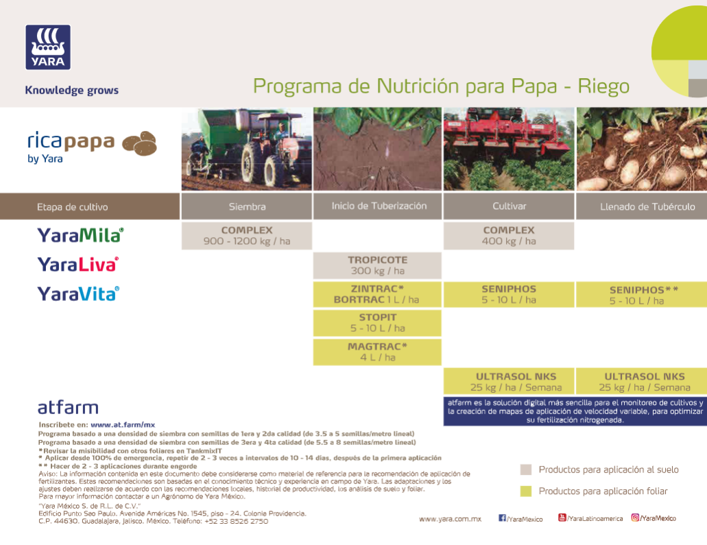 Programa de Nutrición  de Papa